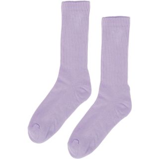 Colorful Standard Organic Active Socks in Soft Lavender