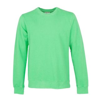 Colorful Standard Organic Crew Sweatshirt in Spring Green